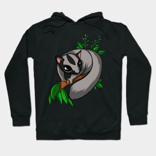 Sugar Glider Hoodie